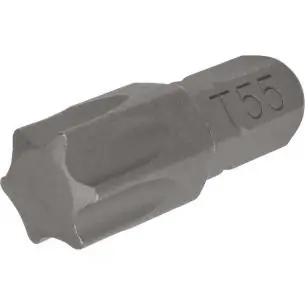 Bit 8 mm Torx T55x30 mm