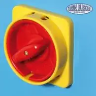 Wyważarka do kół samochodowych dostawczych i ciężarowych TWIN BUSCH TW F-50 T